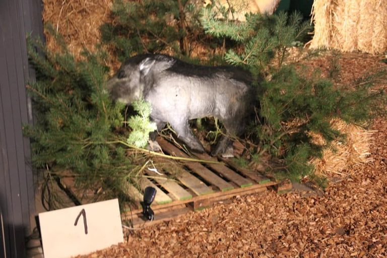 3D Indoor 2018, Arrowclub Dudelange