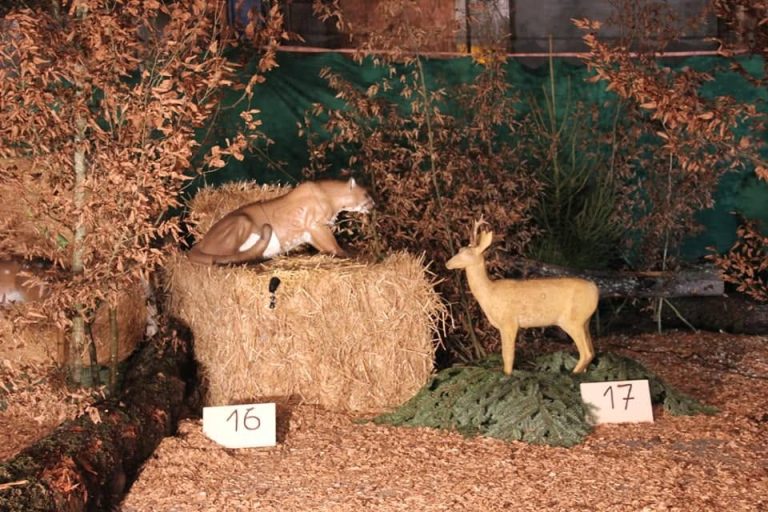 3D Indoor 2018, Arrowclub Dudelange