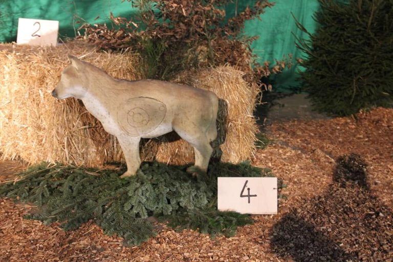 3D Indoor 2018, Arrowclub Dudelange