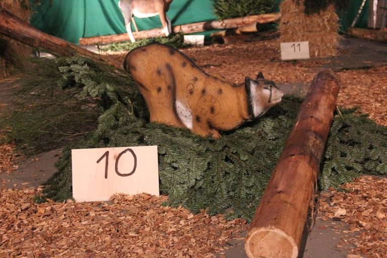 3D Indoor 2018, Arrowclub Dudelange