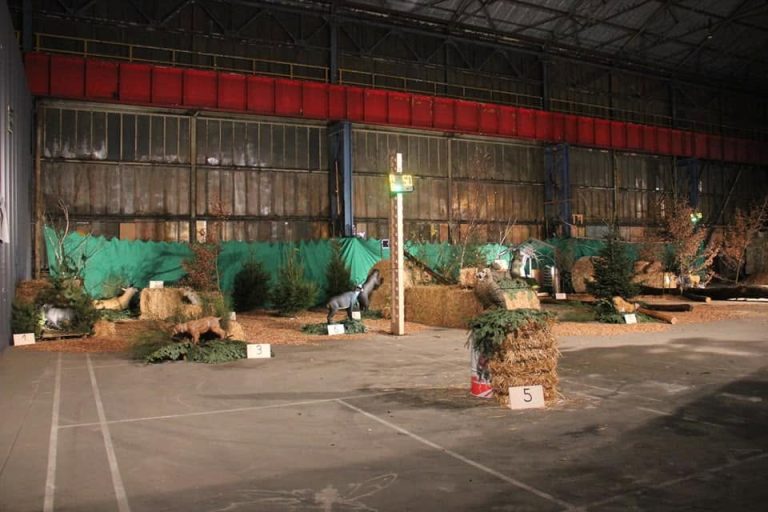 3D Indoor 2018, Arrowclub Dudelange
