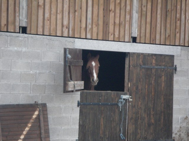3D Breux 2010, Arrowclub Dudelange