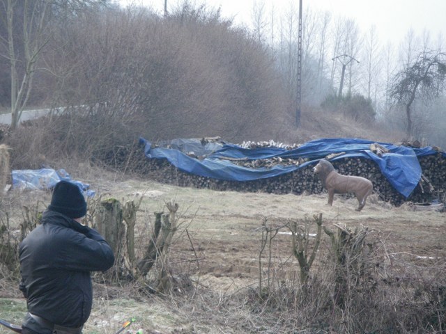 3D Breux 2010, Arrowclub Dudelange