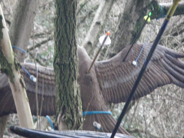 3D Breux 2010, Arrowclub Dudelange