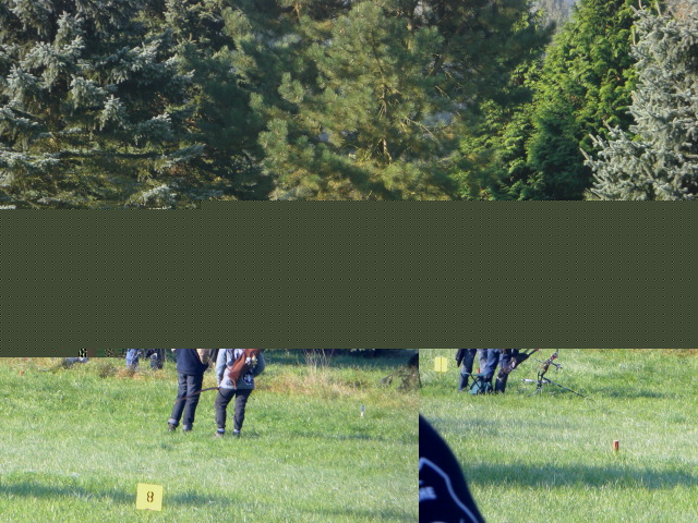 3D-Meisterschaft Walferdange 2008, Arrowclub Dudelange