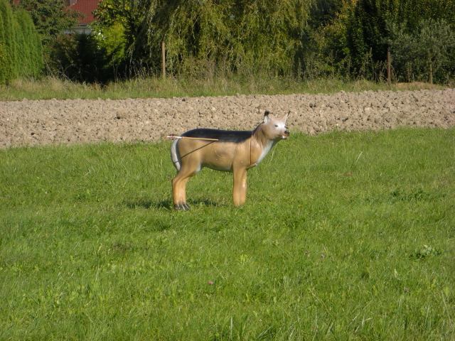 3D-Meisterschaft Walferdange 2008, Arrowclub Dudelange