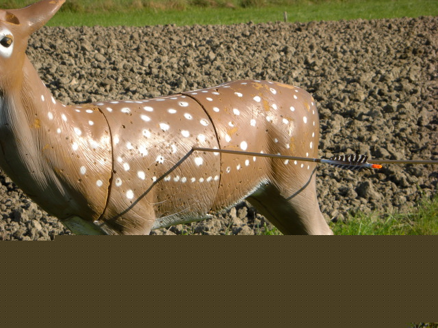 3D-Meisterschaft Walferdange 2008, Arrowclub Dudelange