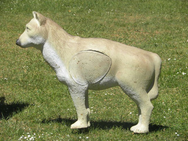 Am Vereinsplatz, 9. Mai 2011 – Fotoarchiv 2011, Arrowclub Dudelange