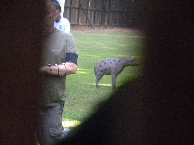 Mai 3D-Turnier 2011, Arrowclub Dudelange