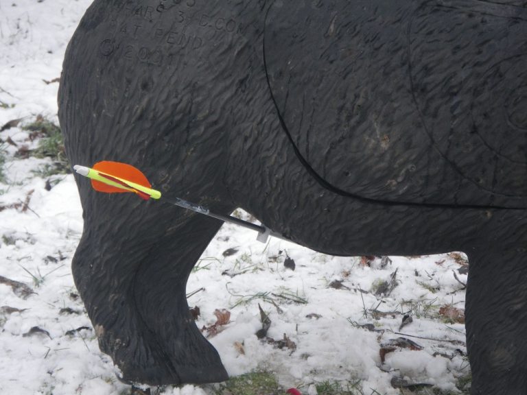 Winter-3D, Januar 2015 – Fotoarchiv 2015, Arrowclub Dudelange
