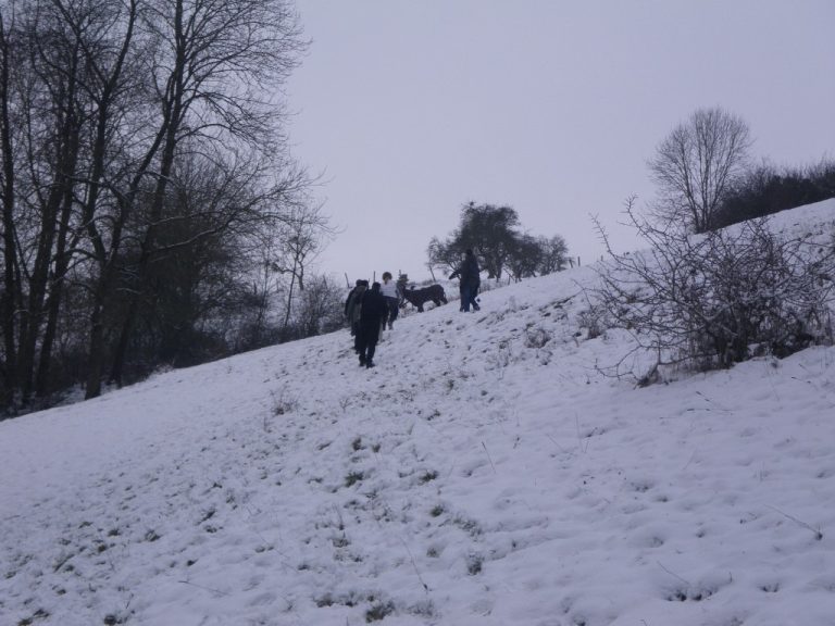 Winter-3D, Januar 2015 – Fotoarchiv 2015, Arrowclub Dudelange