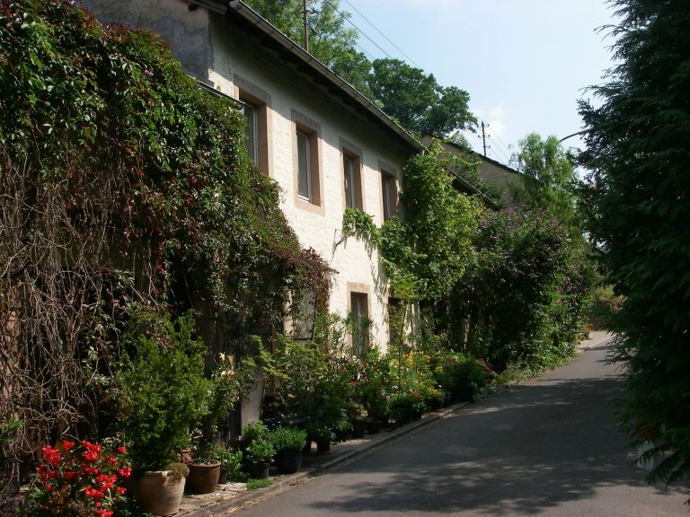 Dorfturnier Biersdorf am See 2007, Arrowclub Dudelange