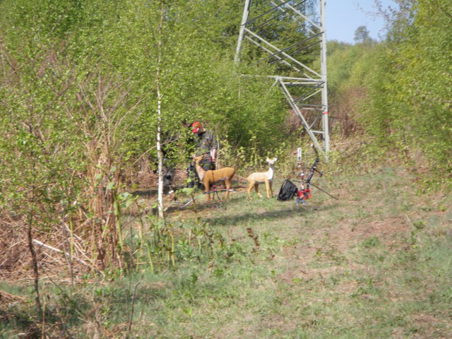 3D-Turnier, April 2011 – Fotoarchiv 2011, Arrowclub Dudelange