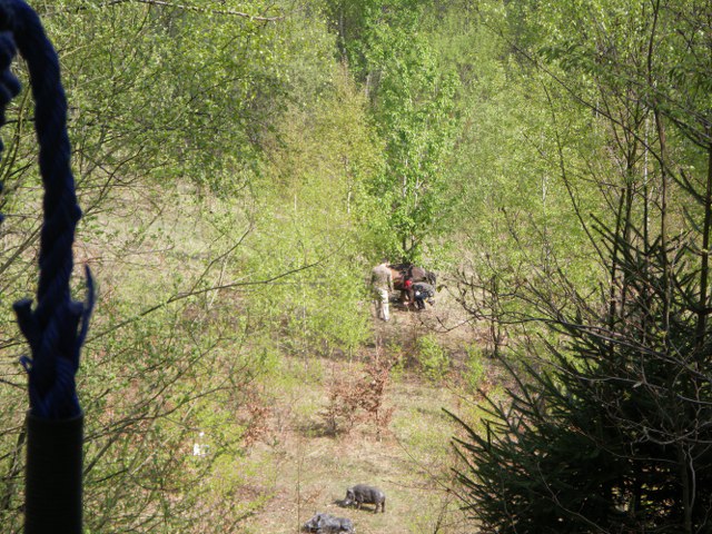3D-Turnier, April 2011 – Fotoarchiv 2011, Arrowclub Dudelange