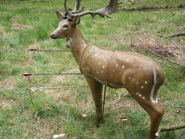 3D-Turnier, April 2011 – Fotoarchiv 2011, Arrowclub Dudelange