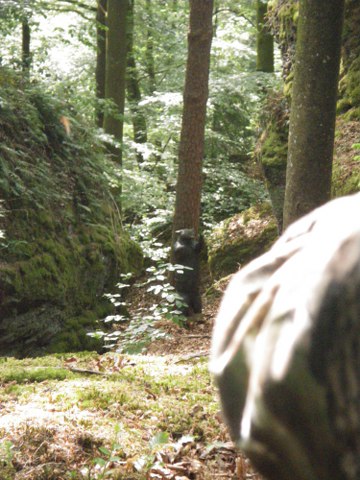 Parcours im Mai 2011 – Fotoarchiv 2011, Arrowclub Dudelange