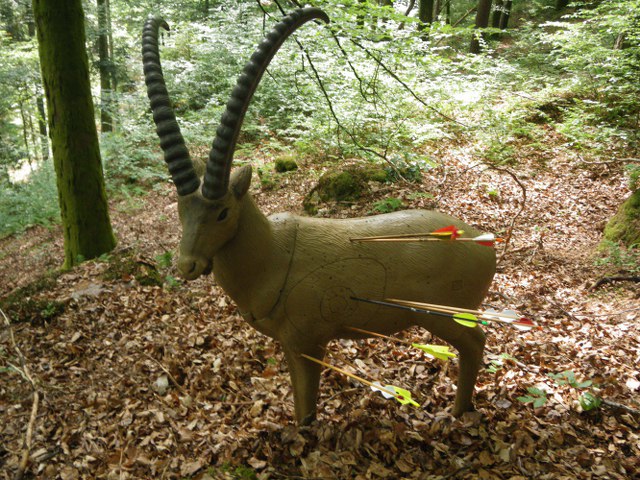 Parcours im Mai 2011 – Fotoarchiv 2011, Arrowclub Dudelange