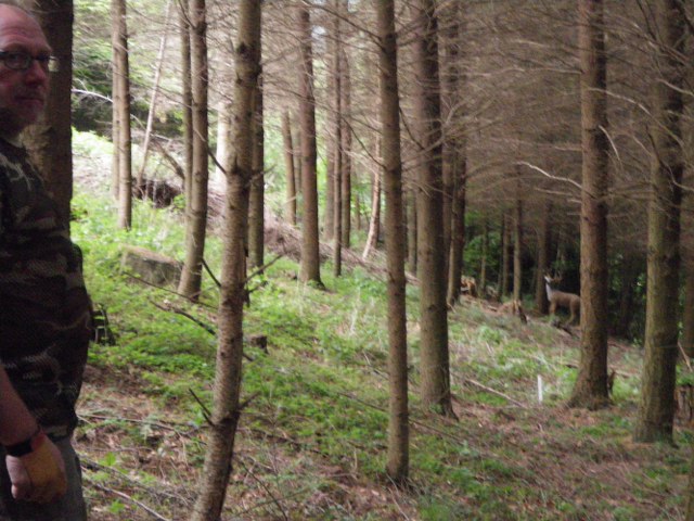 Parcours im Mai 2011 – Fotoarchiv 2011, Arrowclub Dudelange