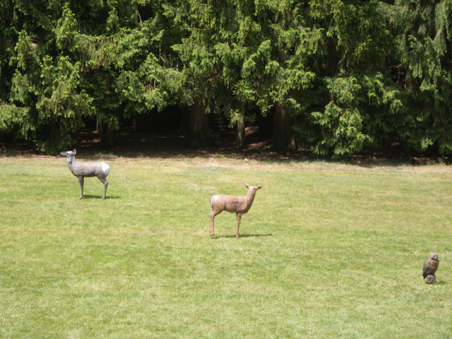 Parcours im Mai 2011 – Fotoarchiv 2011, Arrowclub Dudelange
