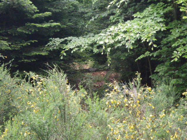 Parcours im Mai 2011 – Fotoarchiv 2011, Arrowclub Dudelange