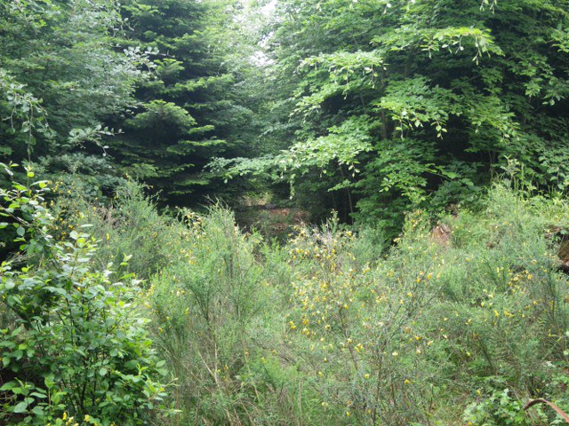 Parcours im Mai 2011 – Fotoarchiv 2011, Arrowclub Dudelange