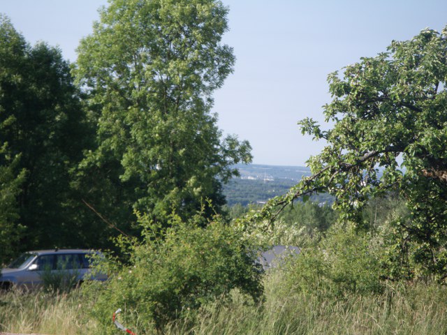 3D-Turnier über mehrere Tage, Juni 2011 – Fotoarchiv 2011, Arrowclub Dudelange