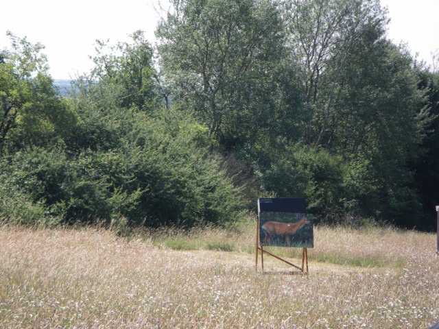 3D-Turnier über mehrere Tage, Juni 2011 – Fotoarchiv 2011, Arrowclub Dudelange