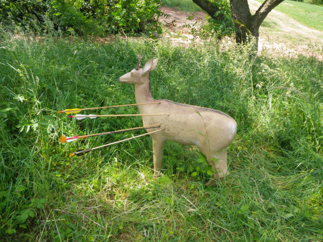 3D-Turnier über mehrere Tage, Juni 2011 – Fotoarchiv 2011, Arrowclub Dudelange