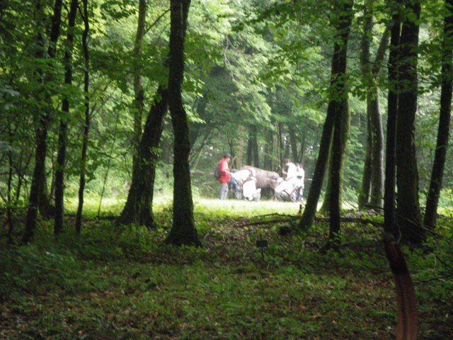 3D-Turnier über mehrere Tage, Juni 2011 – Fotoarchiv 2011, Arrowclub Dudelange