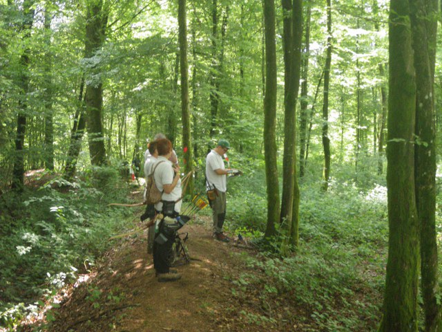 3D-Turnier über mehrere Tage, Juni 2011 – Fotoarchiv 2011, Arrowclub Dudelange