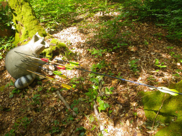 3D-Turnier über mehrere Tage, Juni 2011 – Fotoarchiv 2011, Arrowclub Dudelange