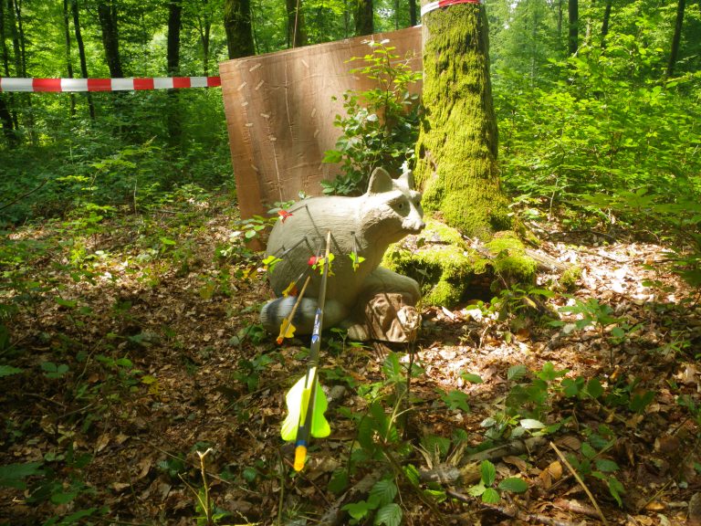 3D-Turnier über mehrere Tage, Juni 2011 – Fotoarchiv 2011, Arrowclub Dudelange