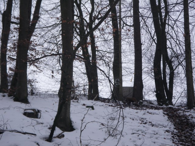Winter-3D, Januar 2013 – Fotoarchiv 2013, Arrowclub Dudelange