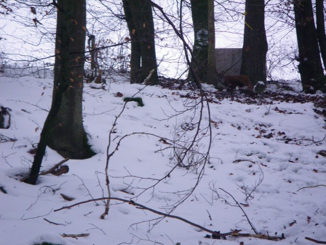 Winter-3D, Januar 2013 – Fotoarchiv 2013, Arrowclub Dudelange