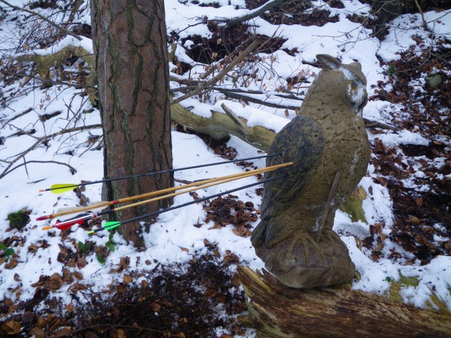 Winter-3D, Januar 2013 – Fotoarchiv 2013, Arrowclub Dudelange