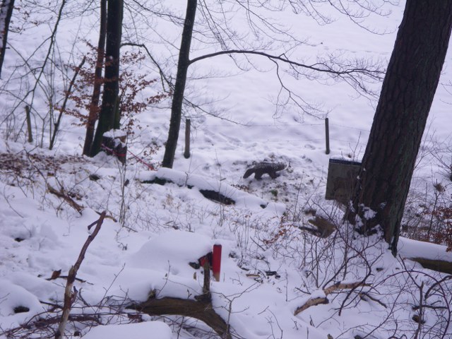 Winter-3D, Januar 2013 – Fotoarchiv 2013, Arrowclub Dudelange
