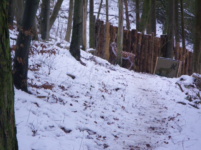 Winter-3D, Januar 2013 – Fotoarchiv 2013, Arrowclub Dudelange