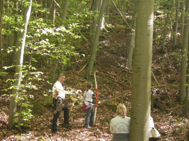 3D-Turnier mit Siegerehrung, Mai 2013 – Fotoarchiv 2013, Arrowclub Dudelange