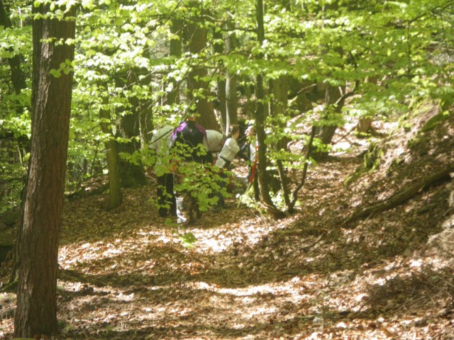 3D-Turnier mit Siegerehrung, Mai 2013 – Fotoarchiv 2013, Arrowclub Dudelange