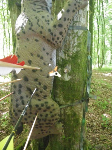 3D-Turnier, Juni 2013 – Fotoarchiv 2013, Arrowclub Dudelange
