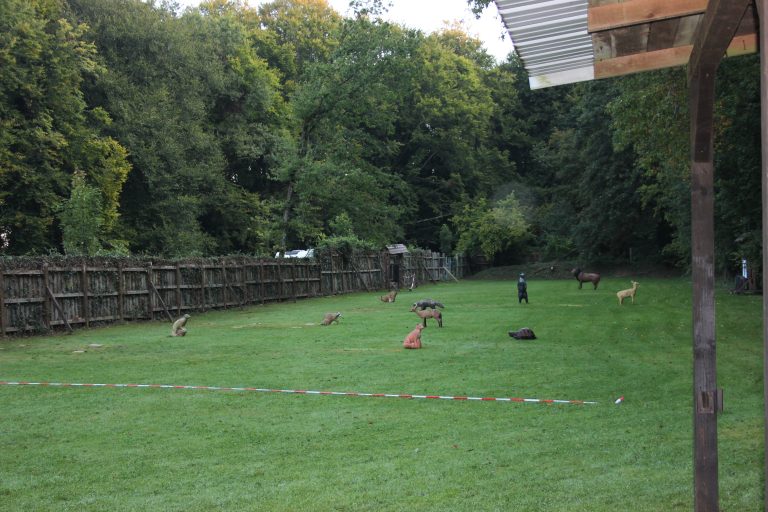 3D Geierschlucht 2024 – Rund ums Vereinshaus | Arrowclub Dudelange
