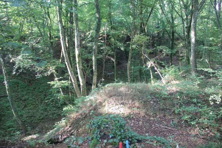 3D Geierschlucht 2024 – Auf dem Parcours | Arrowclub Dudelange