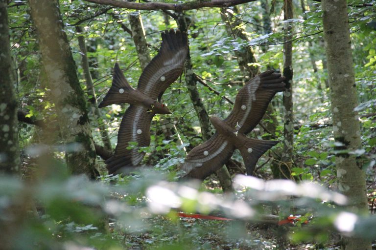 3D Geierschlucht 2024 – Auf dem Parcours | Arrowclub Dudelange