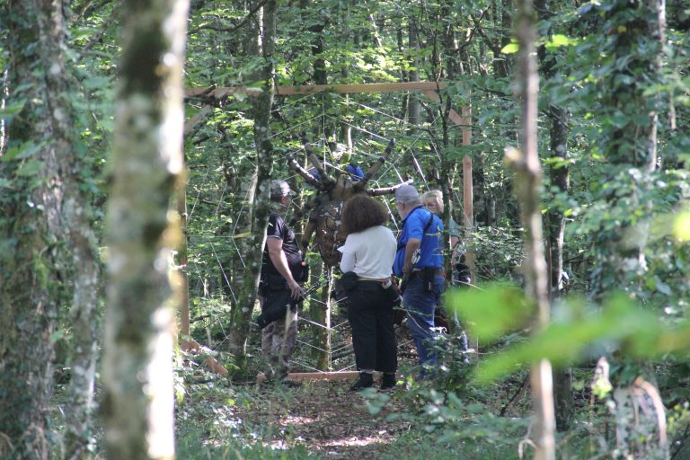 3D Geierschlucht 2024 – Auf dem Parcours | Arrowclub Dudelange