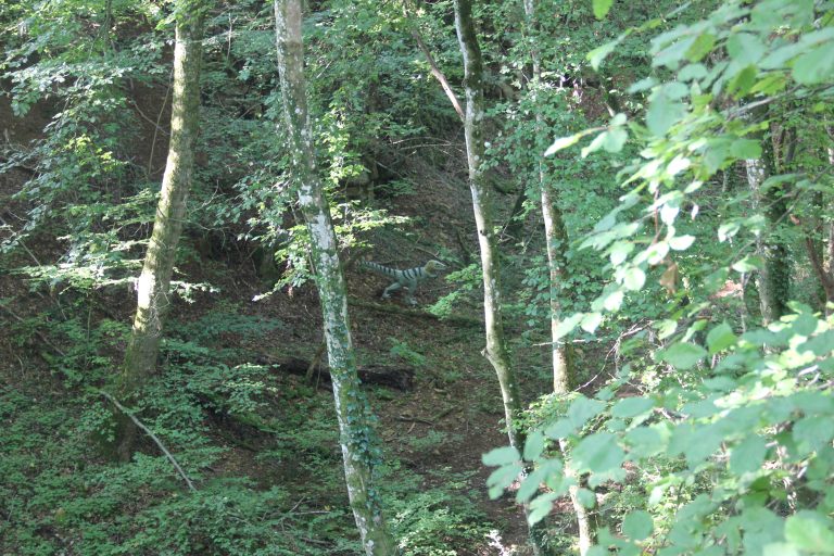 3D Geierschlucht 2024 – Auf dem Parcours | Arrowclub Dudelange