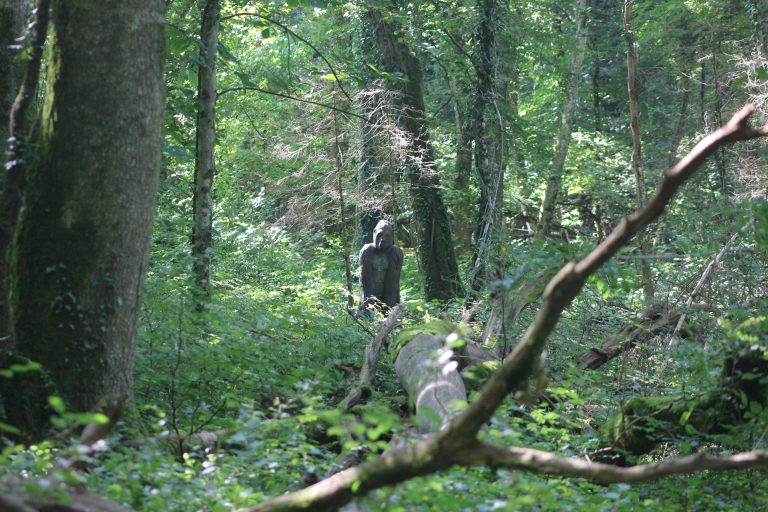3D Geierschlucht 2024 – Auf dem Parcours | Arrowclub Dudelange