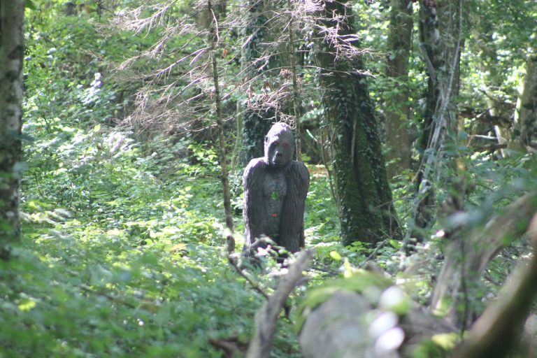 3D Geierschlucht 2024 – Auf dem Parcours | Arrowclub Dudelange