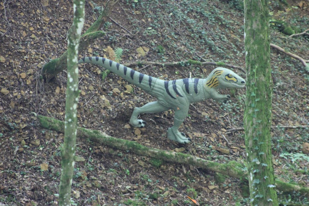 3D Geierschlucht 2024 – 3D-Ziele | Arrowclub Dudelange