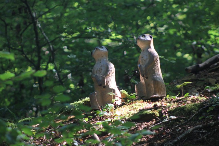 3D Geierschlucht 2024 – 3D-Ziele | Arrowclub Dudelange