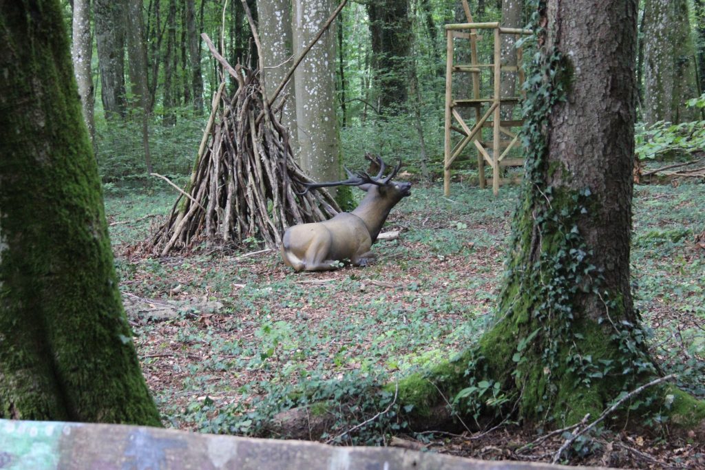 3D Geierschlucht 2024 – 3D-Ziele | Arrowclub Dudelange